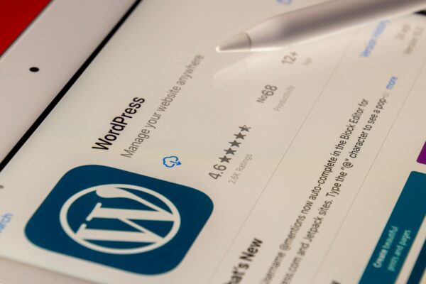 WordPress for Beginners – Master WordPress